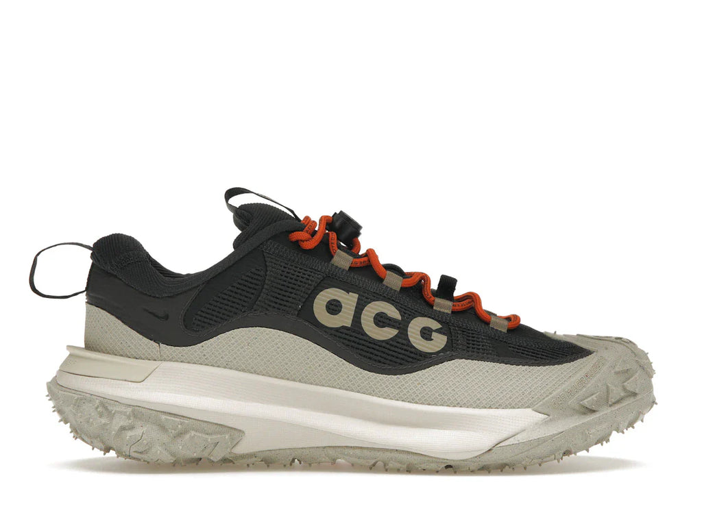Nike ACG Mountain Fly 2 Low Gore-Tex Dunkelgrau
