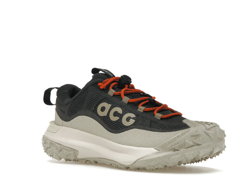 Nike ACG Mountain Fly 2 Low Gore-Tex Dunkelgrau