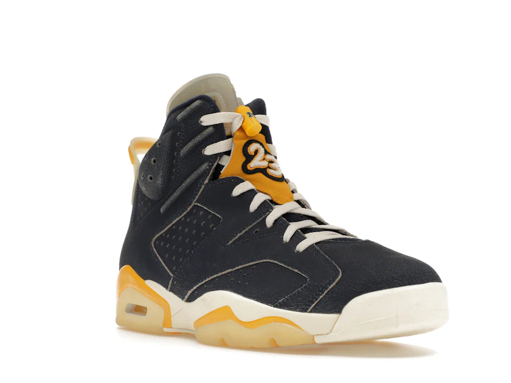 Jordan 6 Retro Michigan PE