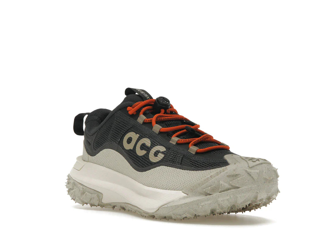 Nike ACG Mountain Fly 2 Low Gore-Tex Dunkelgrau