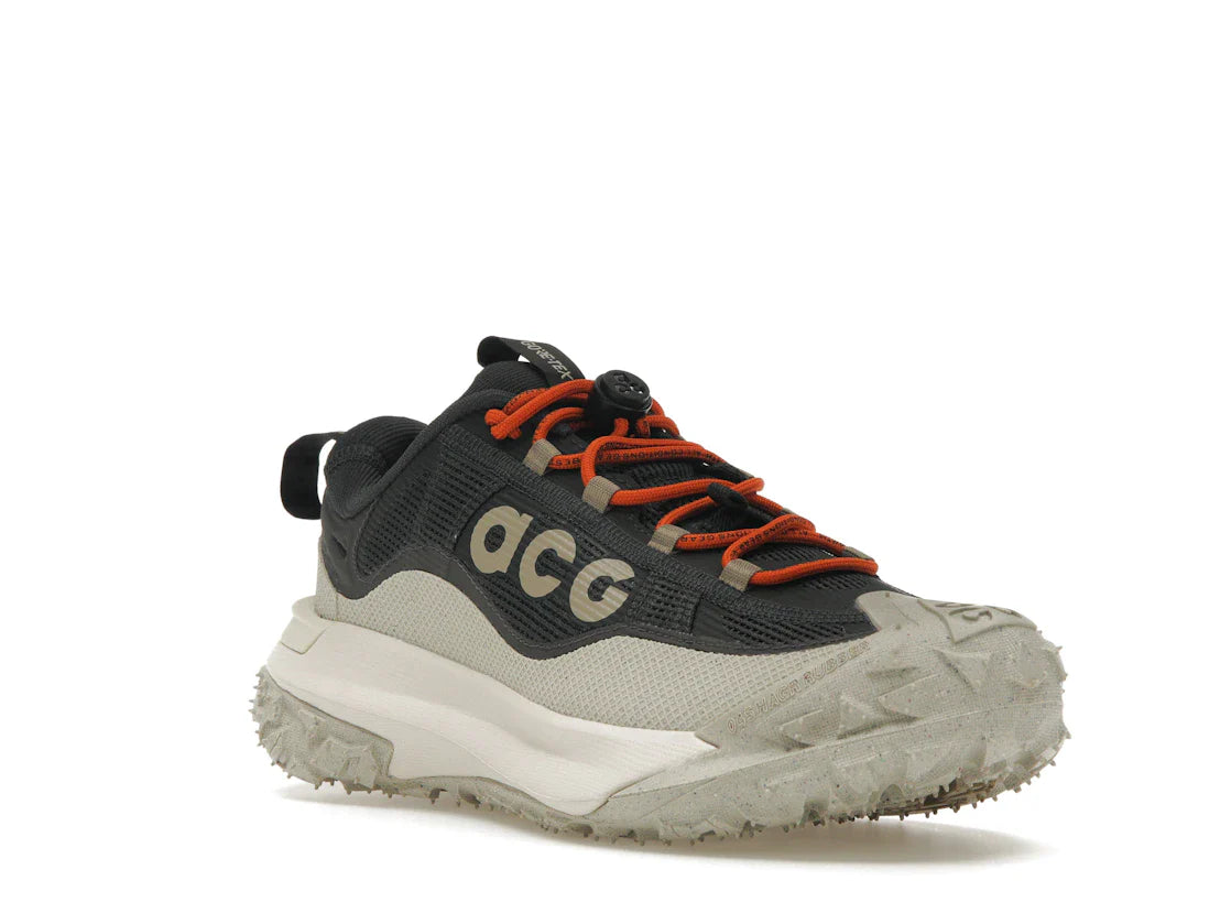 Nike ACG Mountain Fly 2 Low Gore-Tex Dunkelgrau