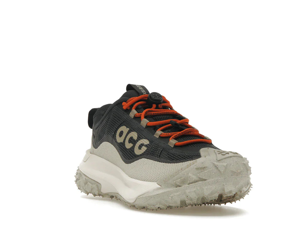 Nike ACG Mountain Fly 2 Low Gore-Tex Dunkelgrau