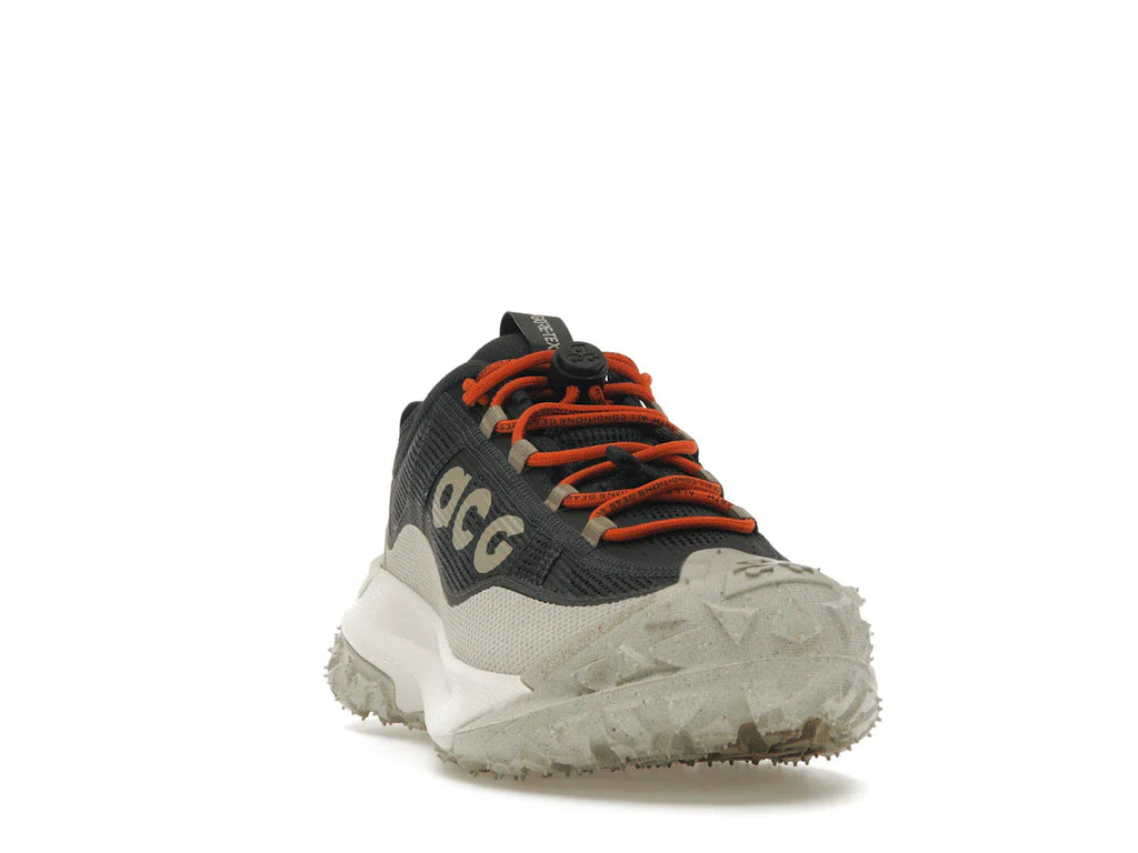 Nike ACG Mountain Fly 2 Low Gore-Tex Dunkelgrau