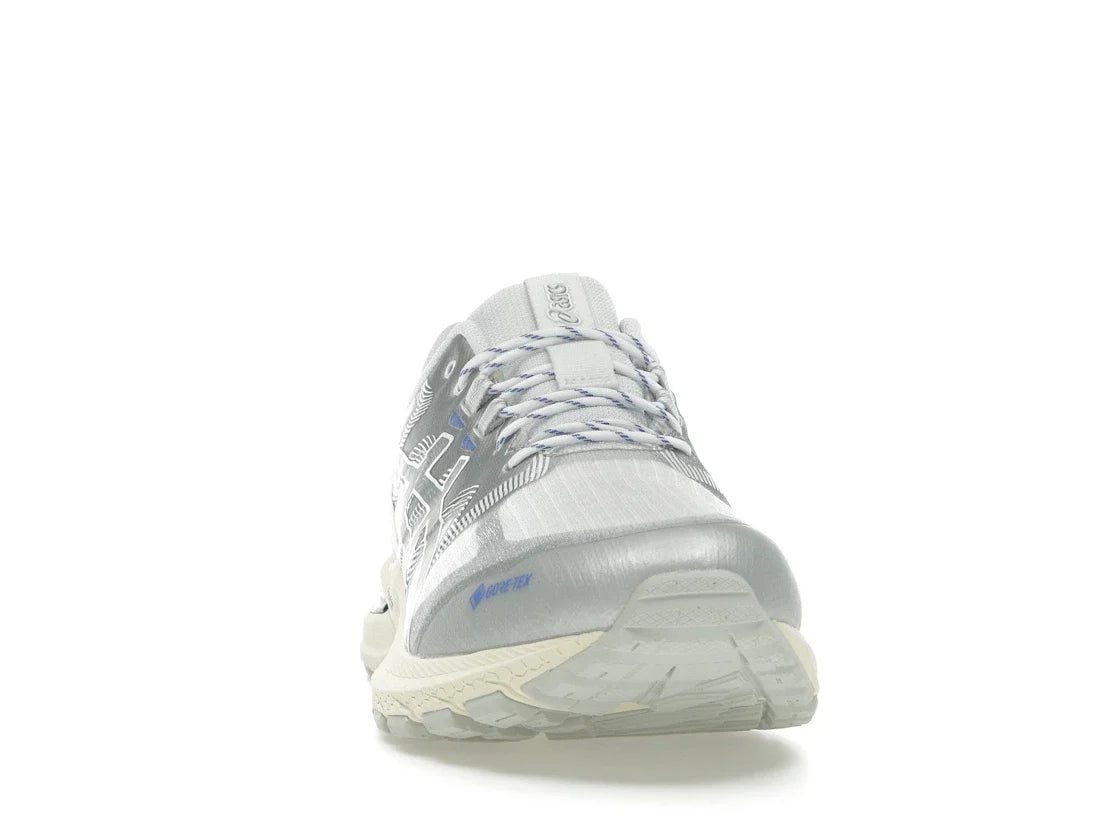 ASICS Gel-Terrain Gore-Tex Weiß Reines Silber