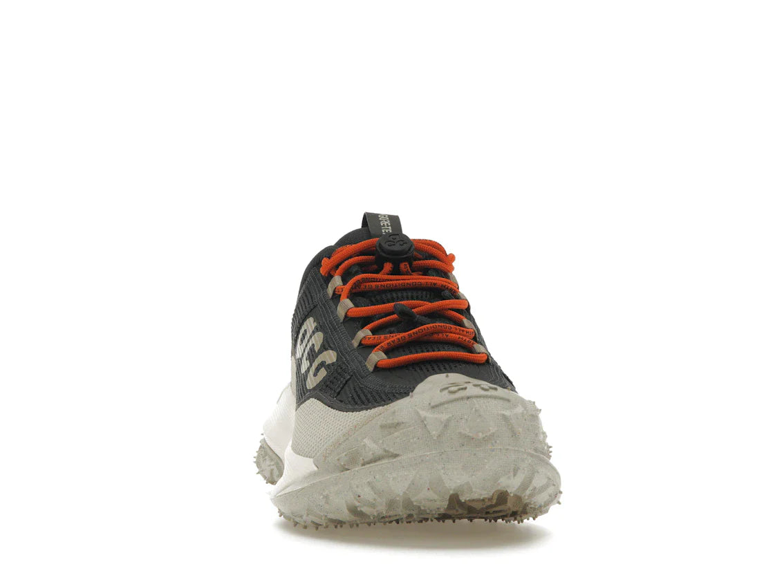 Nike ACG Mountain Fly 2 Low Gore-Tex Dunkelgrau