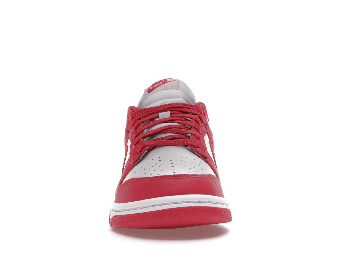 Nike Dunk Low Archeo Pink (Damen)