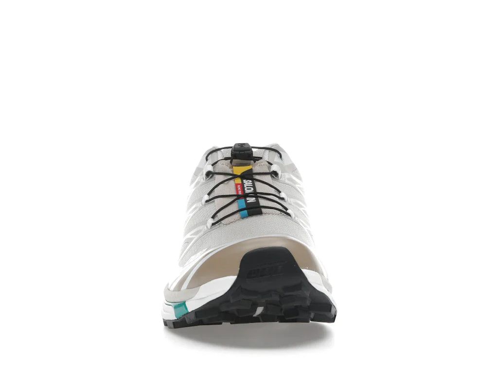 Salomon XT-6 Rainy Day Chinchilla