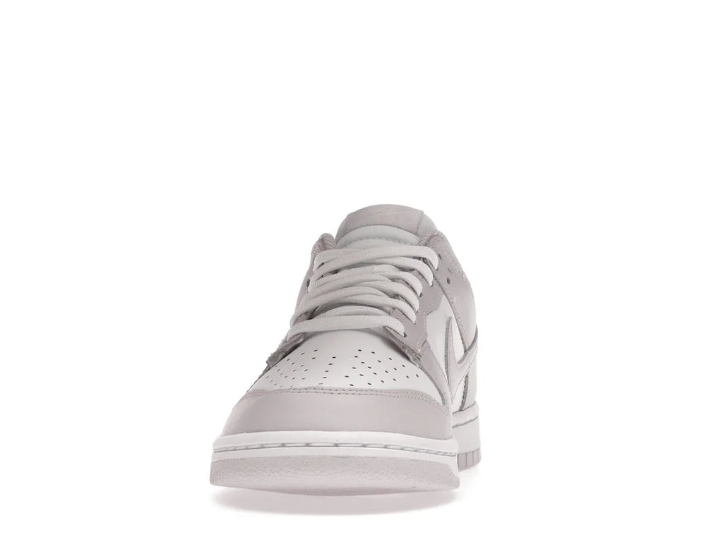 Nike Dunk Low Venice (Damen)