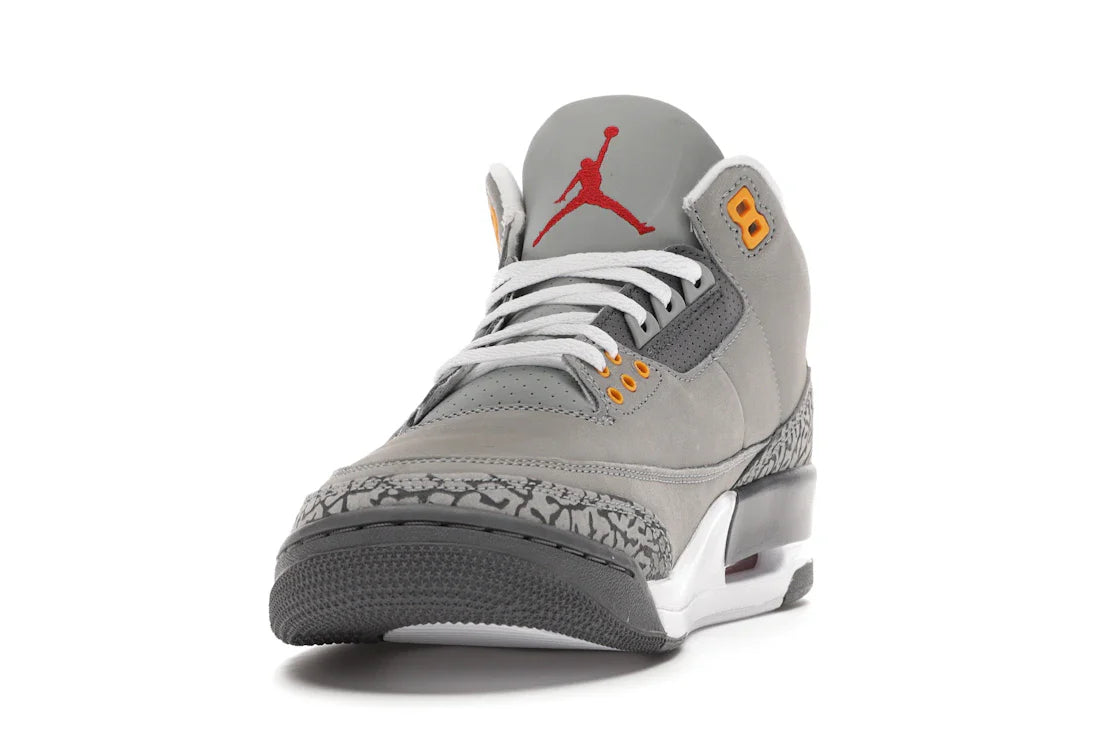 Jordan 3 Retro Cool Gray (2021)