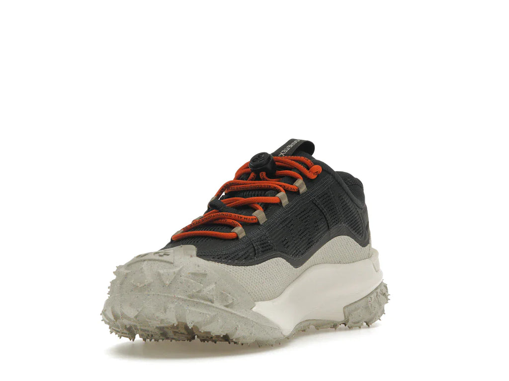 Nike ACG Mountain Fly 2 Low Gore-Tex Dunkelgrau