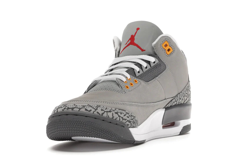 Jordan 3 Retro Cool Gray (2021)