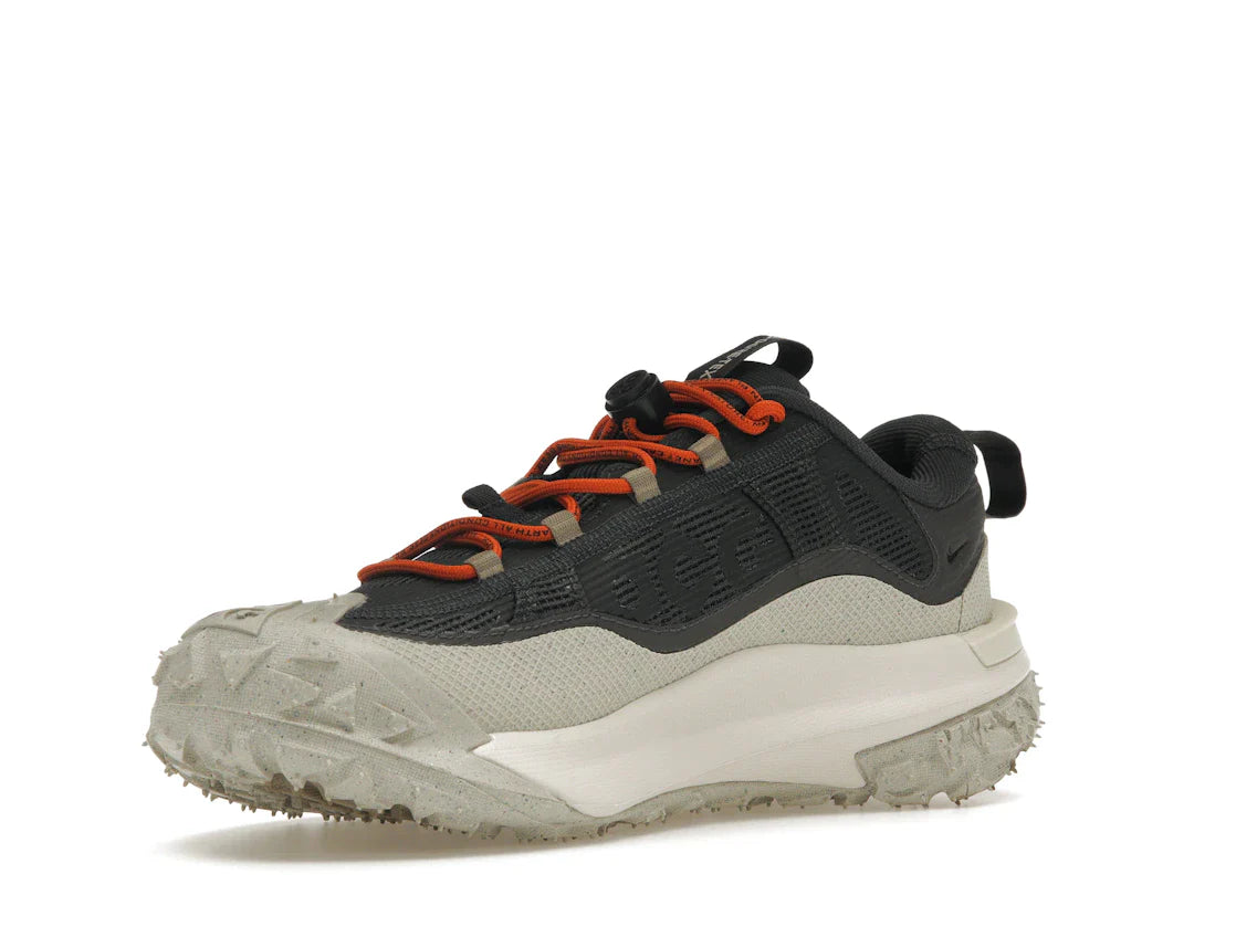 Nike ACG Mountain Fly 2 Low Gore-Tex Dunkelgrau