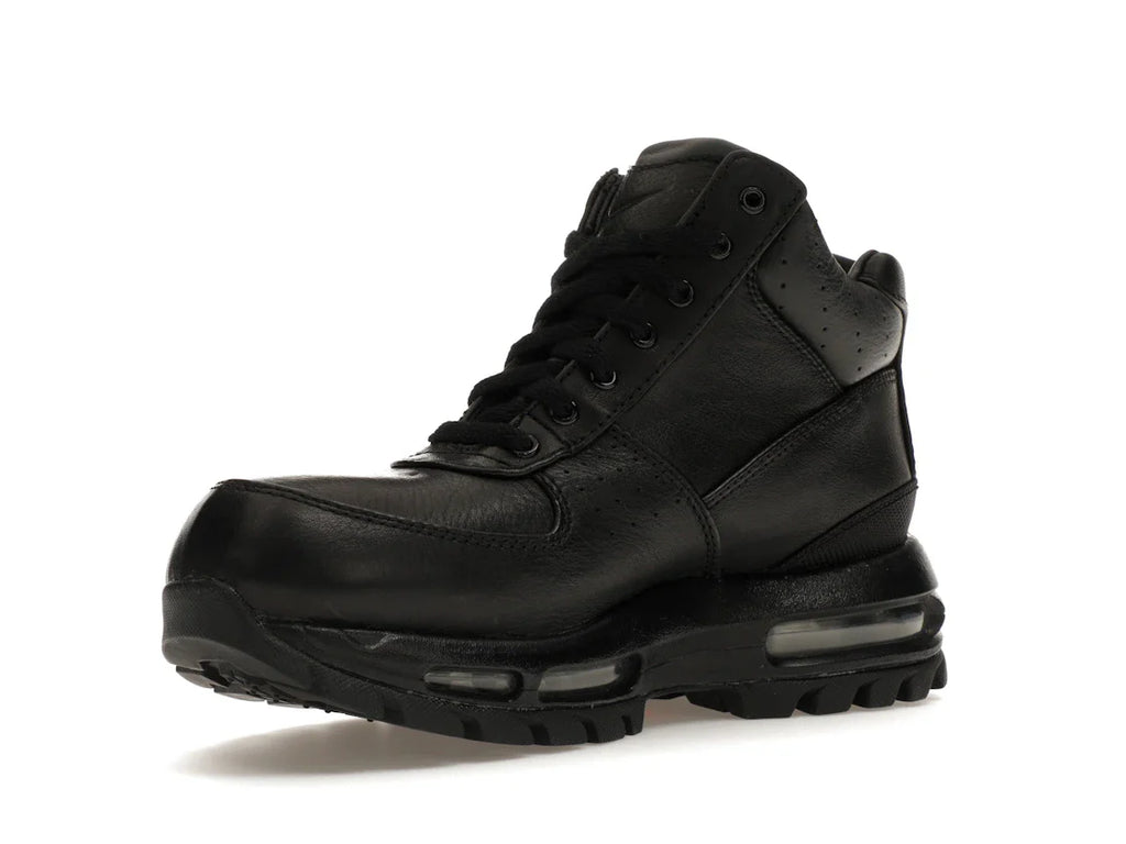 Nike Air Max Goadome Schwarz (GS)