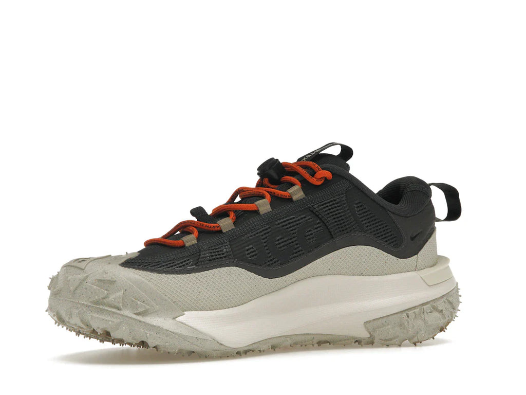 Nike ACG Mountain Fly 2 Low Gore-Tex Dunkelgrau