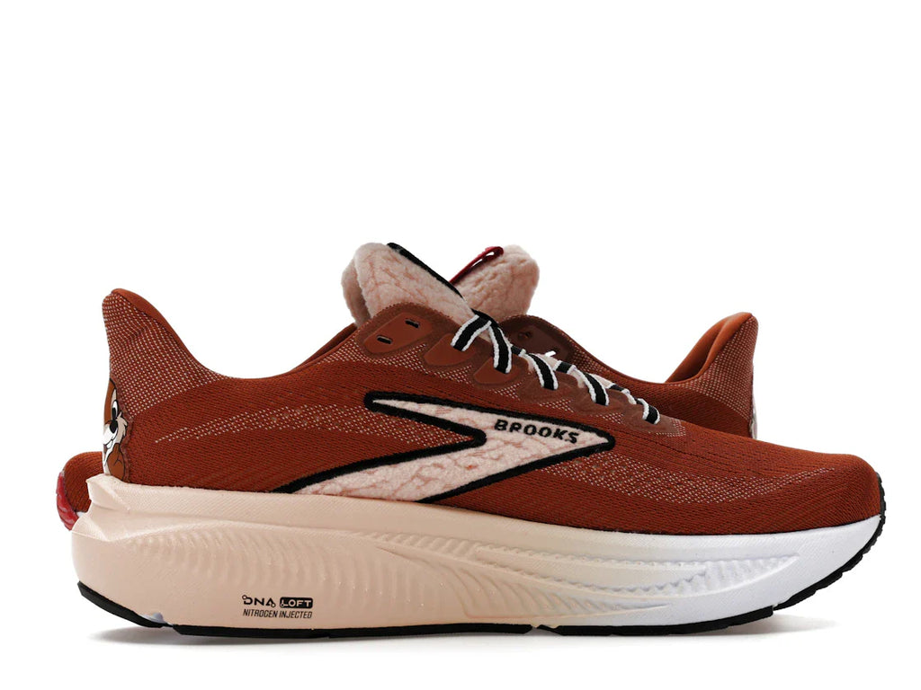 Brooks Ghost 17 runDisney Chip und Dale