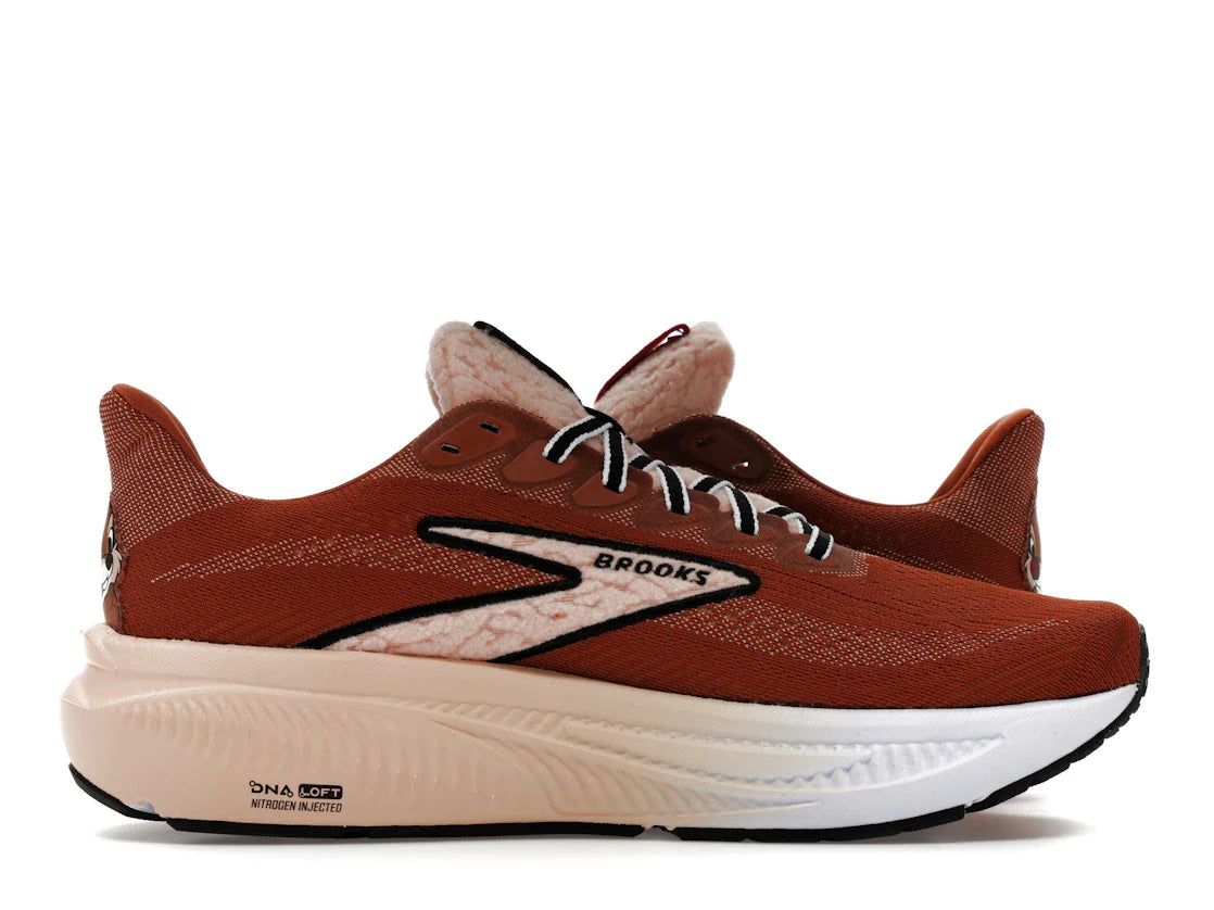 Brooks Ghost 17 runDisney Chip und Dale