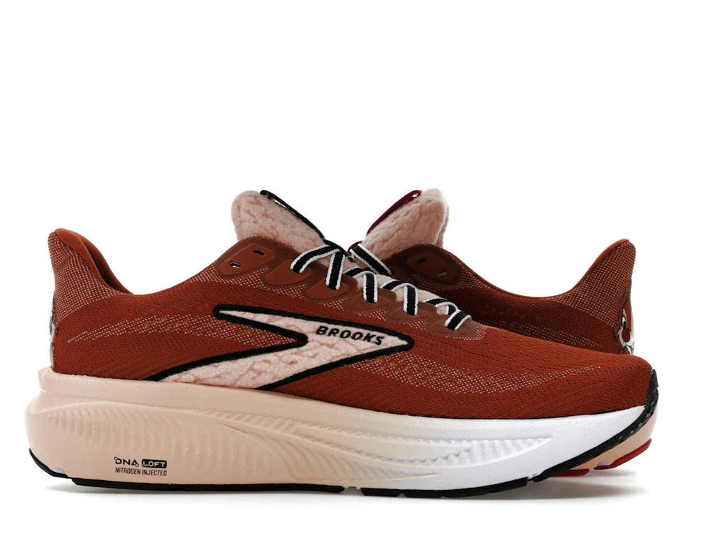 Brooks Ghost 17 runDisney Chip und Dale