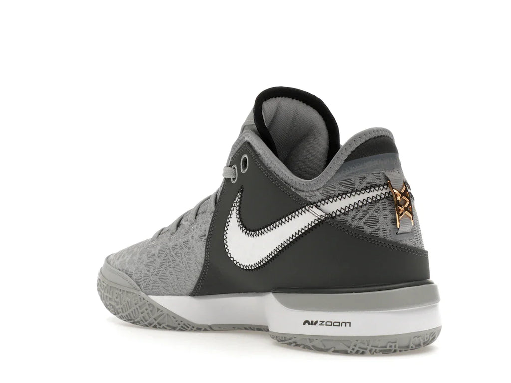 Nike Zoom LeBron NXXT Gen Wolf Gray Metallic Gold
