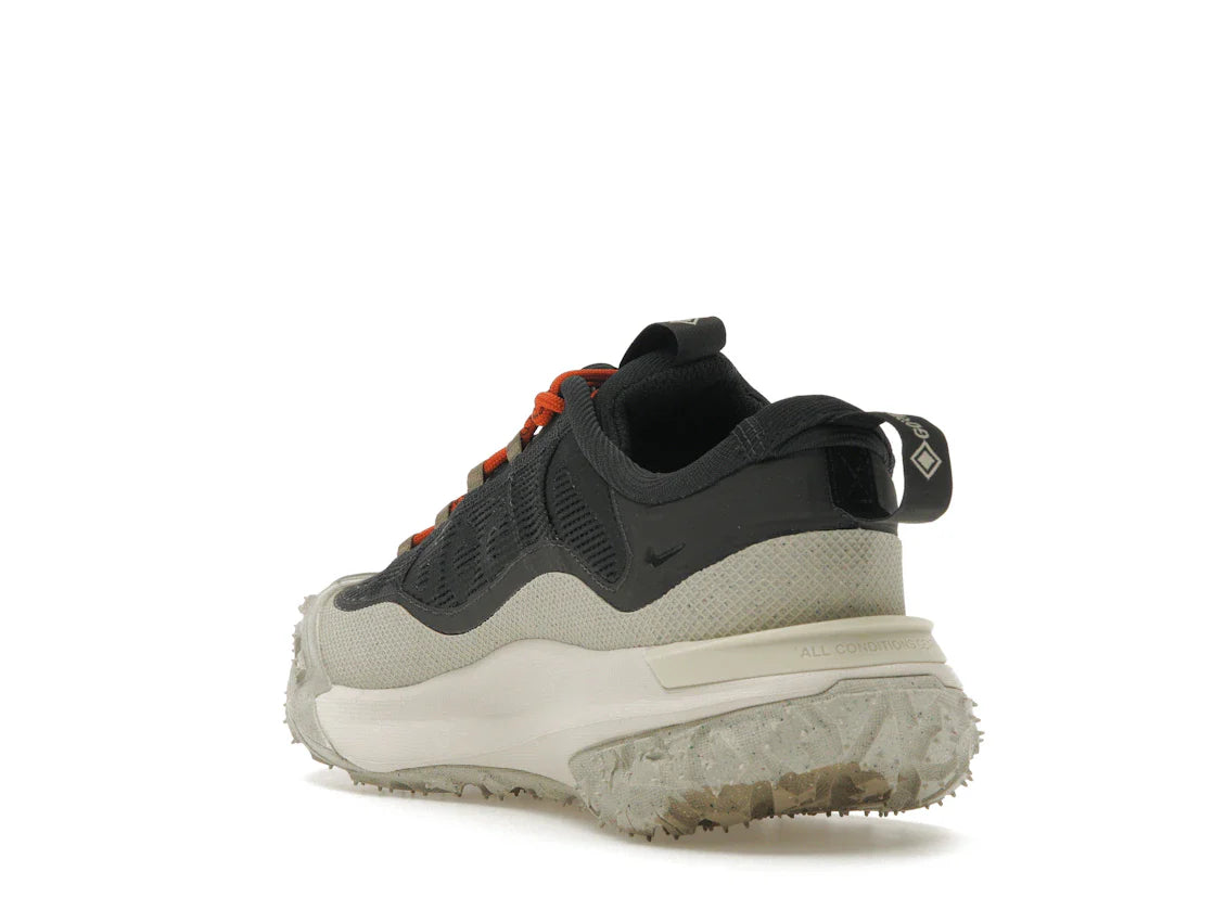 Nike ACG Mountain Fly 2 Low Gore-Tex Dunkelgrau