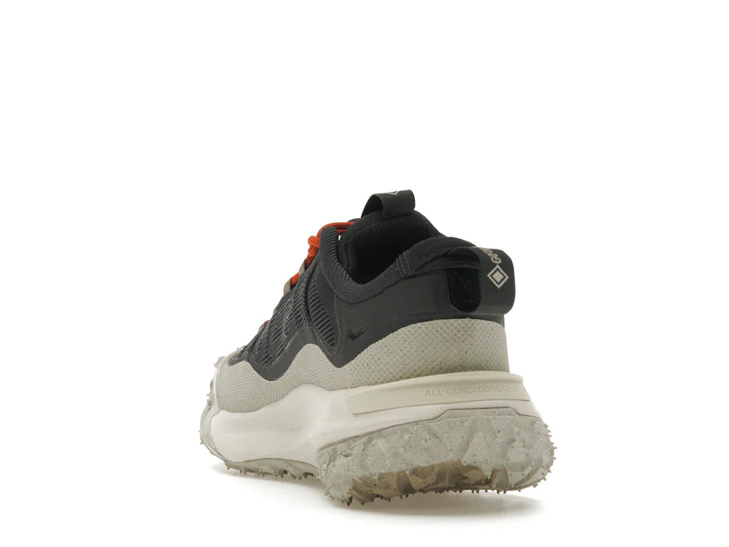 Nike ACG Mountain Fly 2 Low Gore-Tex Dunkelgrau