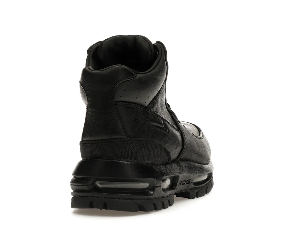 Nike Air Max Goadome Schwarz (GS)