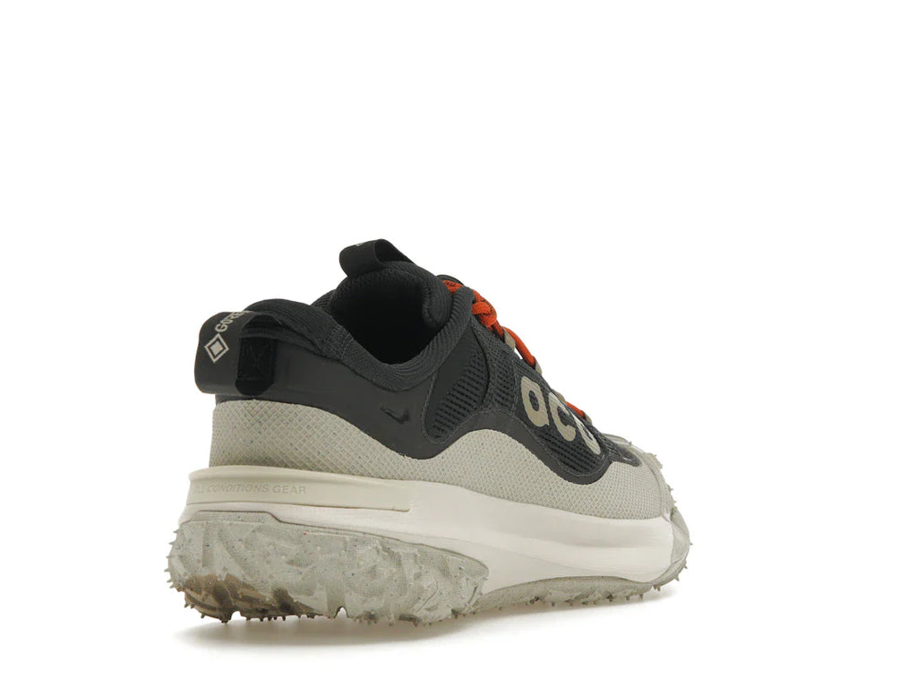 Nike ACG Mountain Fly 2 Low Gore-Tex Dunkelgrau