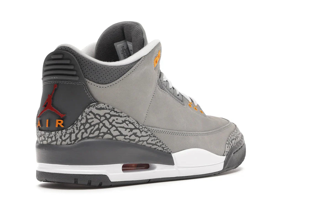 Jordan 3 Retro Cool Gray (2021)