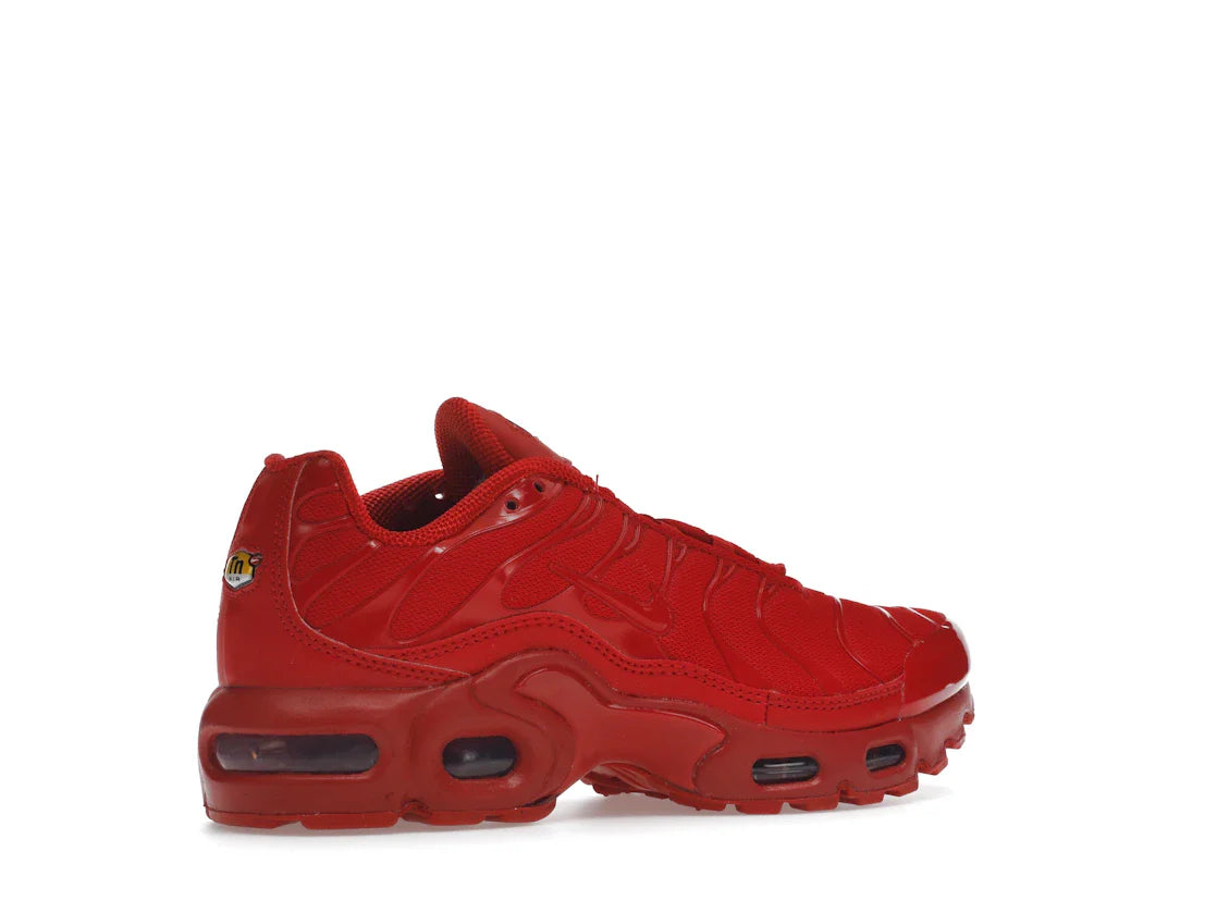 Nike Air Max Plus University Red (GS)