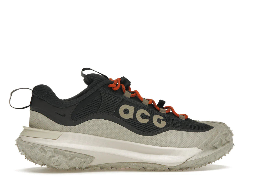 Nike ACG Mountain Fly 2 Low Gore-Tex Dunkelgrau